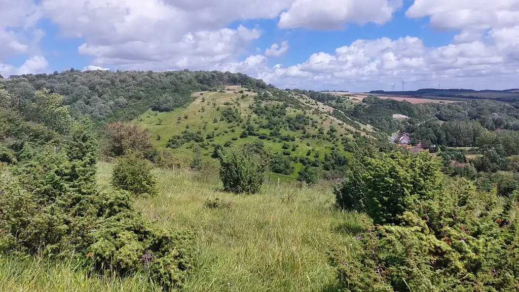 Réserve naturelle nationale d'Acquin-Westbécourt et Wavrans-sur-l'Aa