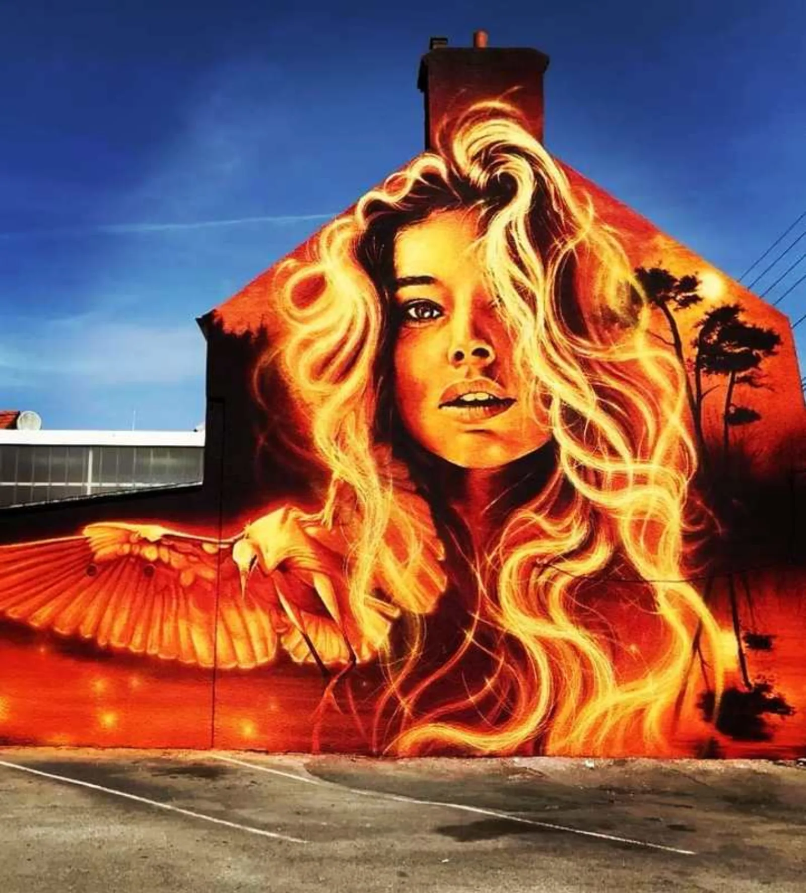 Street Art à Boulogne et Calais