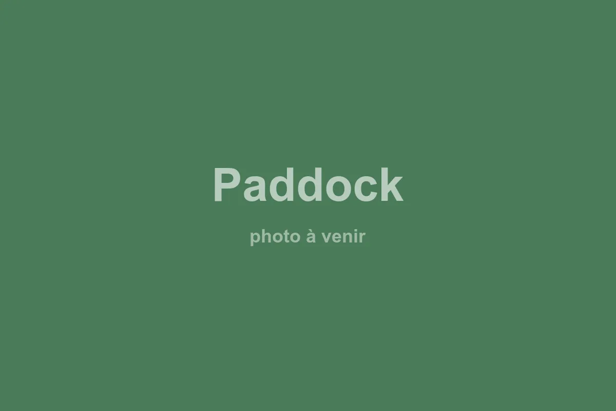 Paddock — vista d'insieme