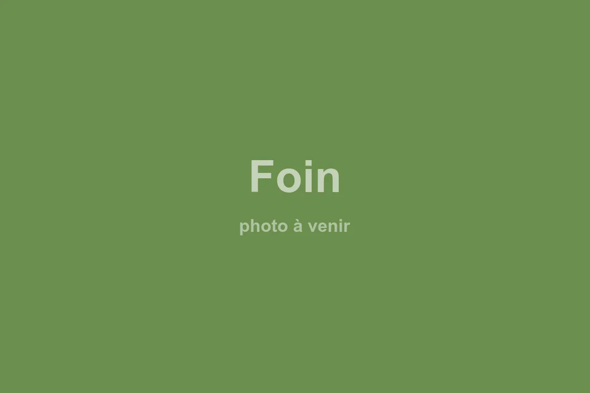 Fieno — fornitura quotidiana