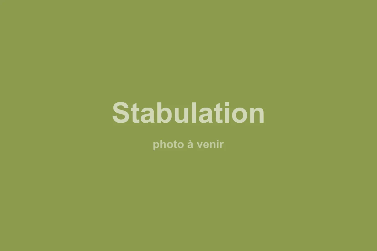 Stalla — riparo coperto