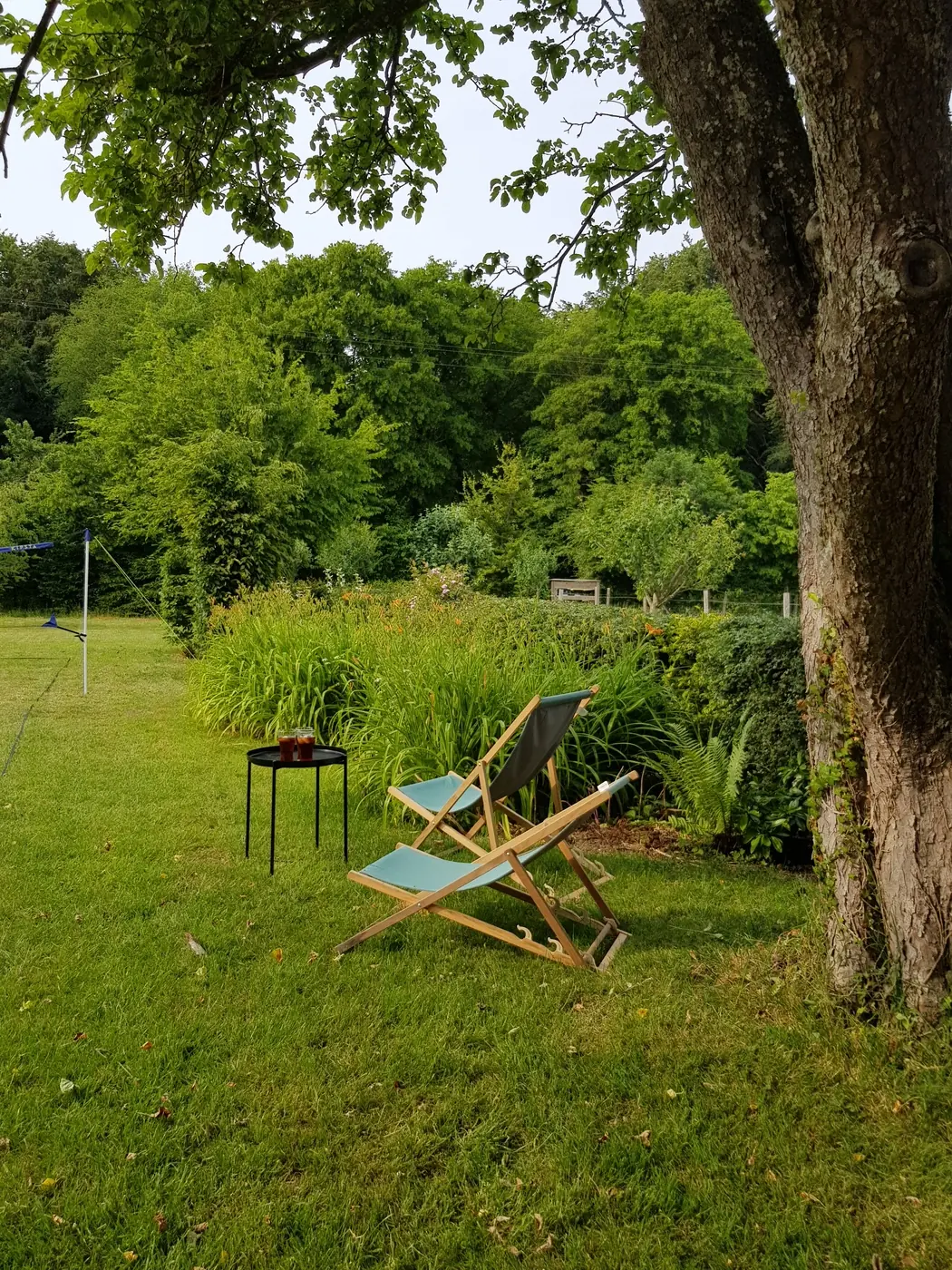Transats au jardin sous le vieux pommier